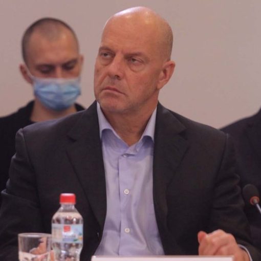 Pavić