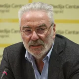 Nestorović Branimir