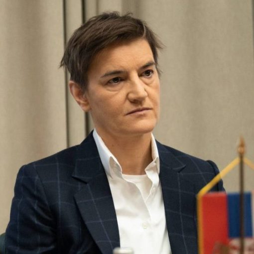 Brnabić